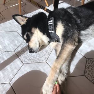 Meet your Posher, Celeste